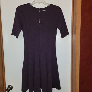 Elegant Purple Women's Dress